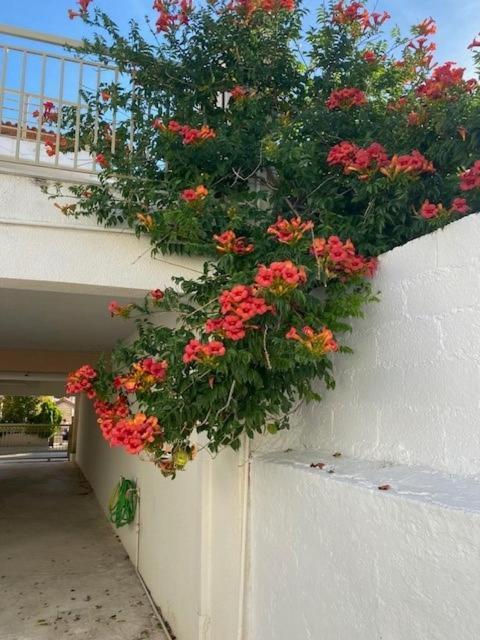 Spata Lykourgos Homes Εξωτερικό φωτογραφία