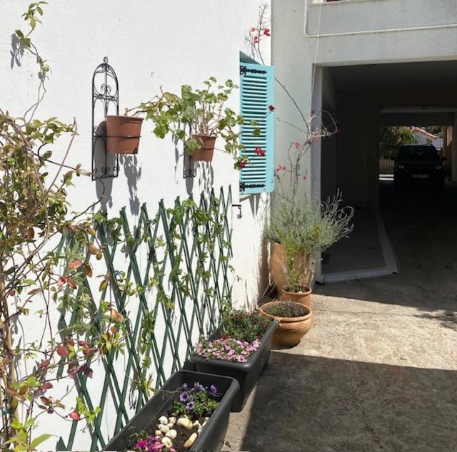 Spata Lykourgos Homes Εξωτερικό φωτογραφία